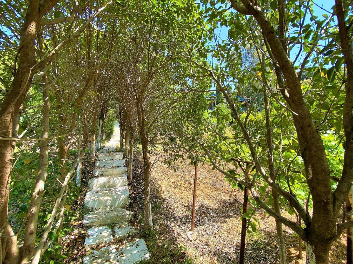 Ramo'S Cozy Beachside Haven With Panoramic Views - 2Nd Vlorë Buitenkant foto